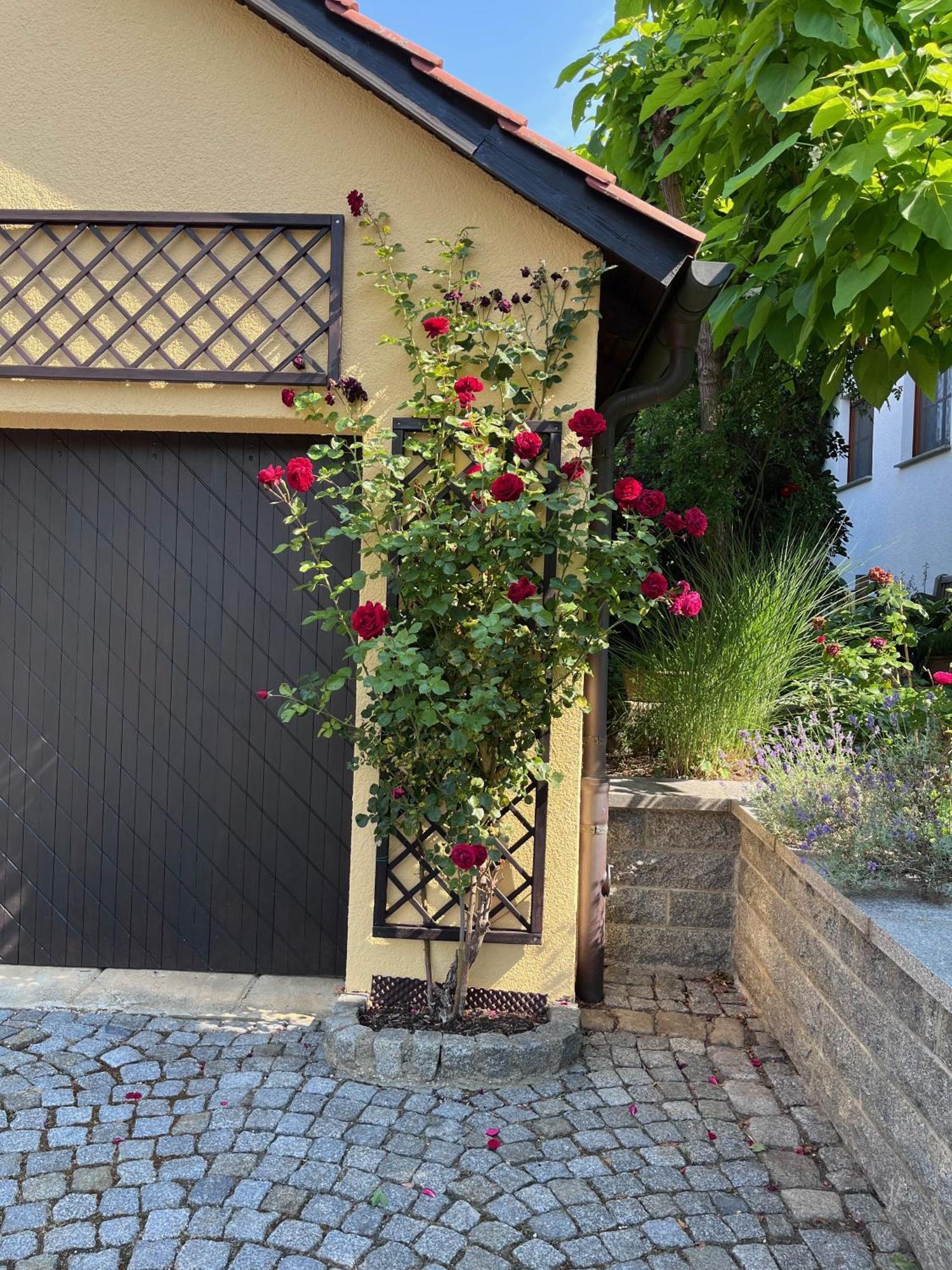 Ferienoase In Der Bierstadt Radeberg Bei Dresden Ngoại thất bức ảnh